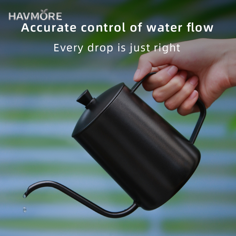 HAVMORE 304 Stainless Steel Te - đánh giá và giá Tea And Coffee Kettle