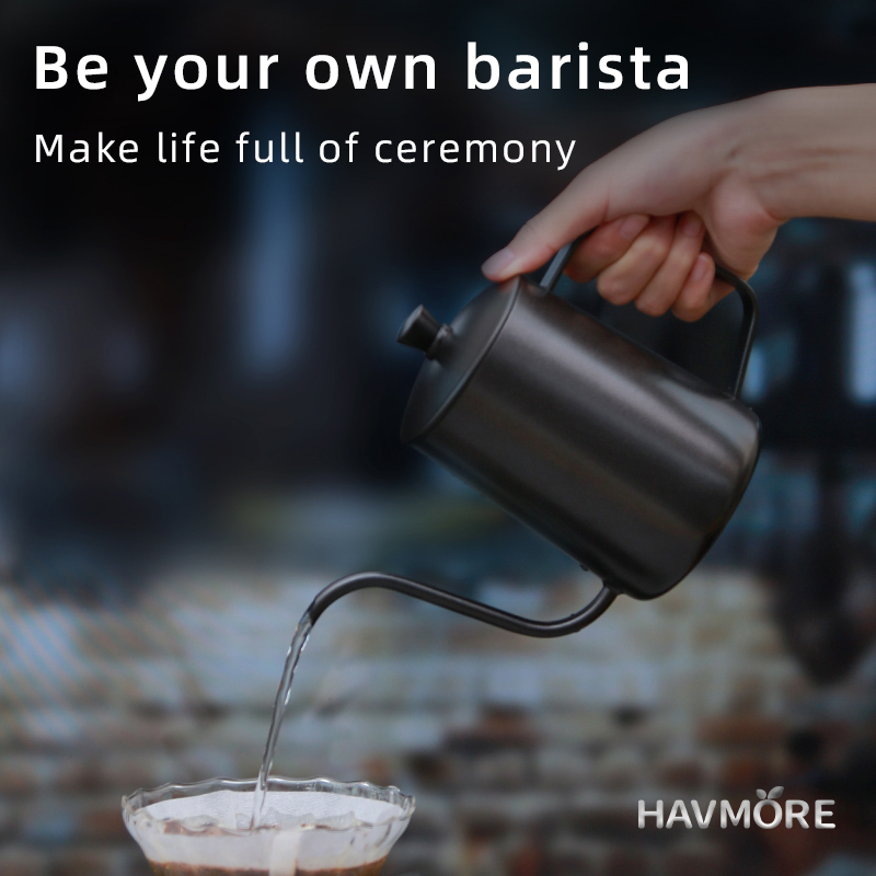 HAVMORE 304 Stainless Steel Te - đánh giá và giá Tea And Coffee Kettle